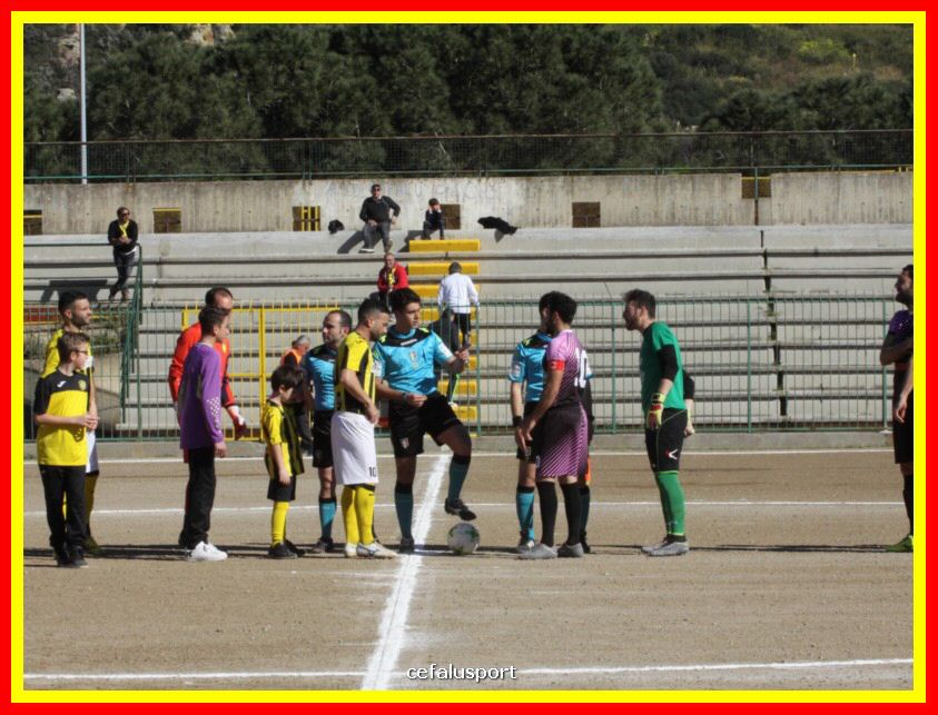 190310 Cephal_Torrenov 035_tn.jpg
